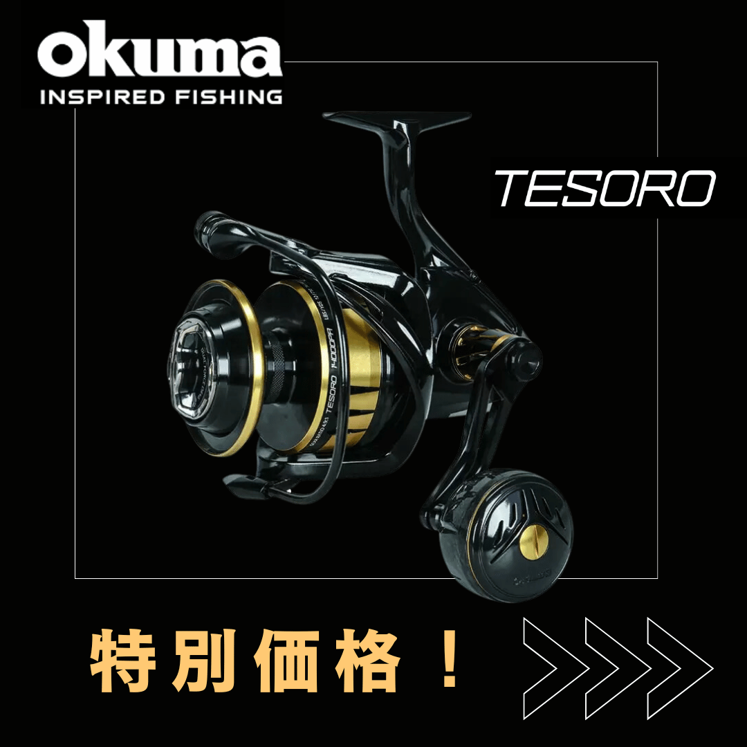 オクマ リール okuma テソロ アゾレス 、特別価格にて販売中