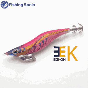 エギ王kベーシック